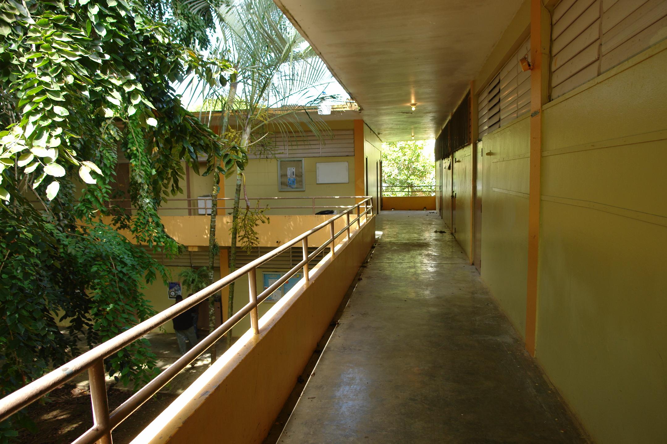FDII - Aibonito - 2010 00084